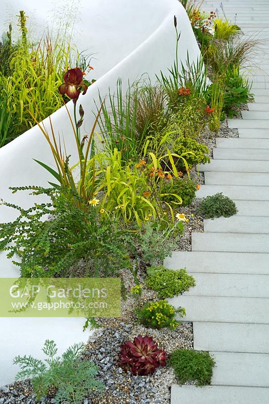 Warm planting colour palette combination of orange, red and yellow. Contemporary curvilinear white hard landscaping and path. Pure Land Foundation Garden. RHS Chelsea Flower Show 2015