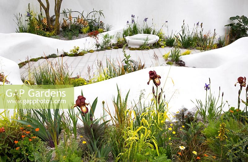 Pure Land Foundation garden, RHS Chelsea Flower Show 2015 - Jesmonite white waved walls, mixed border planting with Iris 'Kent Pride', Milium effusum 'Aureum'