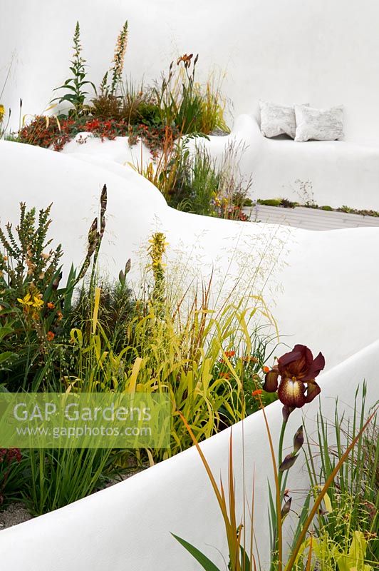 The Pure Land Foundation Garden a modern take on traditional Chinese garden with flowing white walls surrounded by Iris germanica 'Kent Pride', Digitalis 'Illumination Apricot, Geum 'Lady Stratheden' Asphodeline lutea, and Briza media 'Limouzi'.  RHS Chelsea Flower Show, 2015.