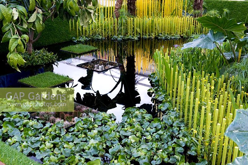 The World Vision Garden. Sunken water pool representing rice paddy in Cambodia. Black sunken mirrored boxes containing cacti.