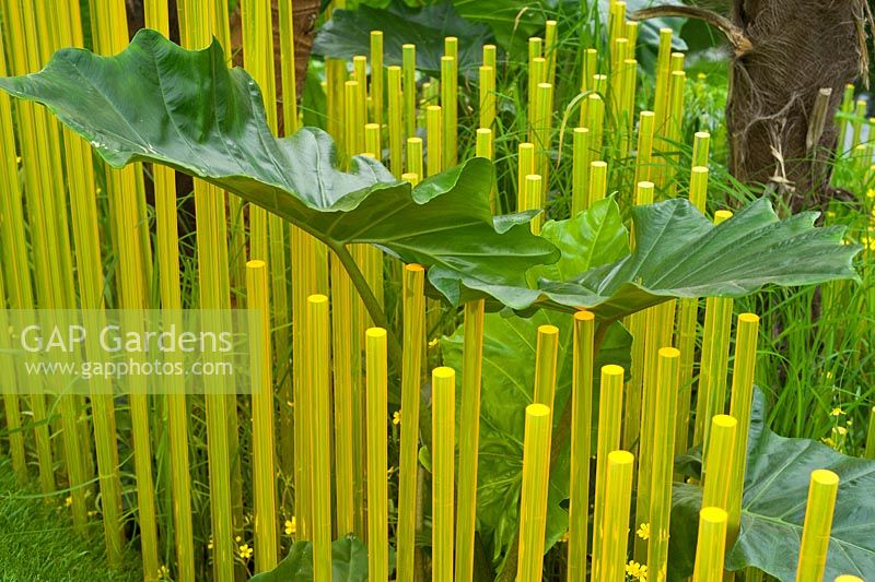 The World Vision Garden. Translucent orange rods and tropical foliage plants