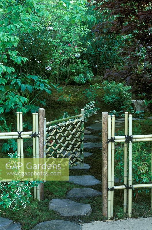Bamboo gate and fence. Carpinus betulus to left, Pieris japonica, Acer to right