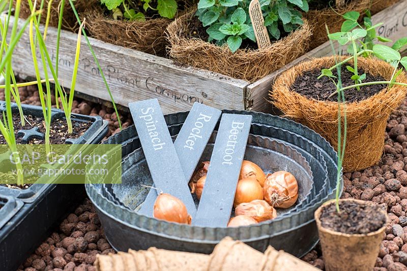 Plant labels and onion sets in a corner of a greenhouse. RHS Chelsea Flower Show 2015