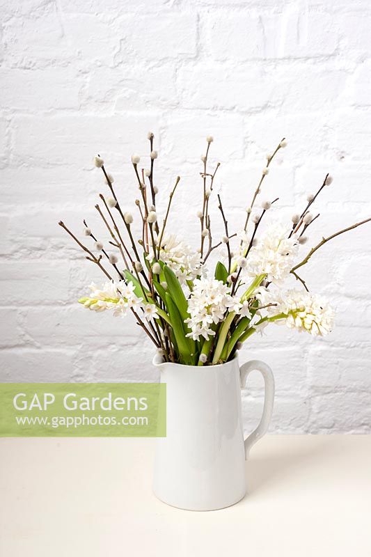 White hyacinths and pussy willow in white jug