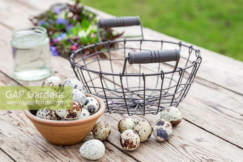 Materials required for constructing Easter basket: Wireframe basket, Glass jar, Quail Eggs, Pulmonaria, Muscari, Lamium purpureum, Scilla siberica and Hebe