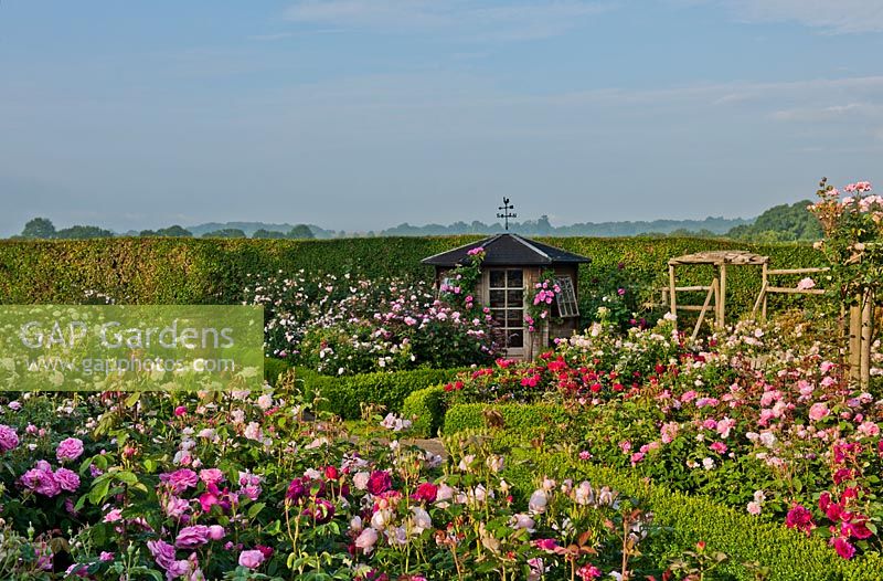 Formal rose garden, Town Place, West Sussex, UK, Summer