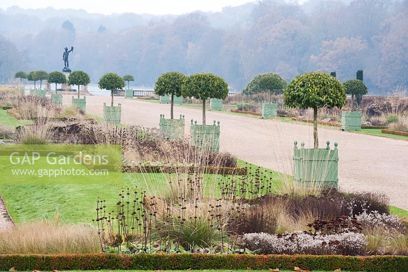 Lines of Versailles planters containing standard clipped Portuguese laurels - Prunus lusitanica in the Italian Garden, Trentham Gardens