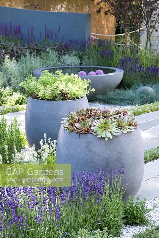 Tall grey containers with planted with sedums - Living Landscapes: Healing Urban Garden, RHS Hampton Court Palace Flower Show 2015