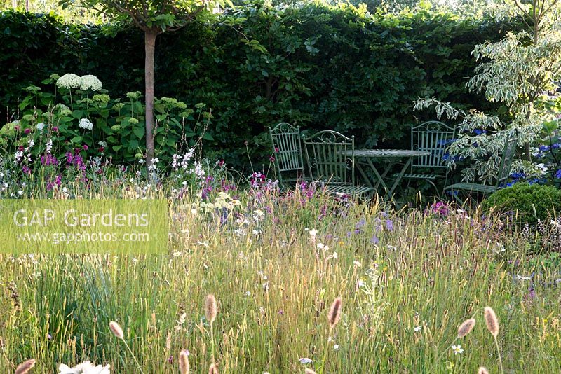 Wildflower garden with table and chairs next to Cornus controversa 'Variegata' - Urban Oasis, RHS Hampton Court Flower Show 2015