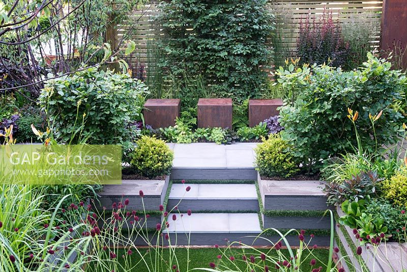 Metal cubed seating with steps down to sunken garden and artificial lawn. Pair of Fagus sylvatica and clipped Buxus sempervirens, Sanguisorba officinalis 'Morning Select' in foreground. Foundation for Growth Garden, RHS Hampton Court Palace Flower Show 2015