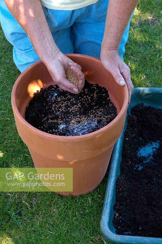 Adding moisture retaining granules and slow release fertiliser to the compost