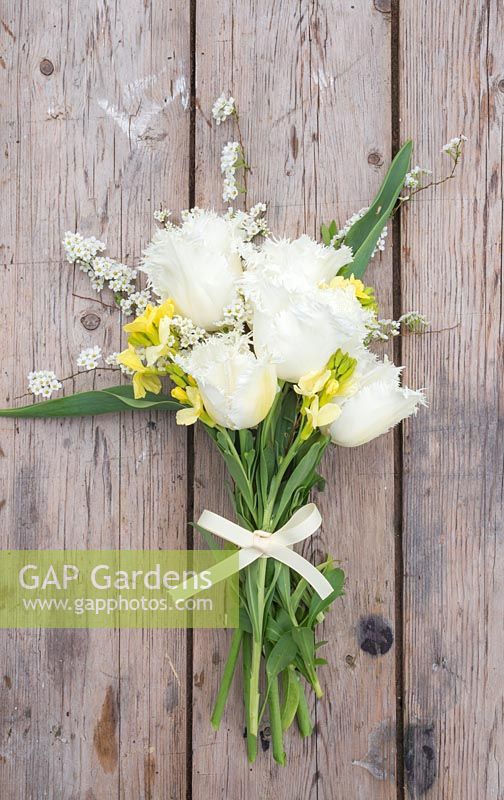 Floral bouquet made with Tulipa 'Swan Wings', Cheiranthus cheiri 'Ivory White' and white spring blossom