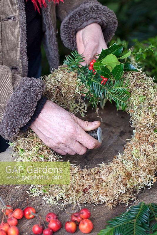 Attaching and securing seasonal foliage to moss covered frame with wire. Gabbi's Garden. December.