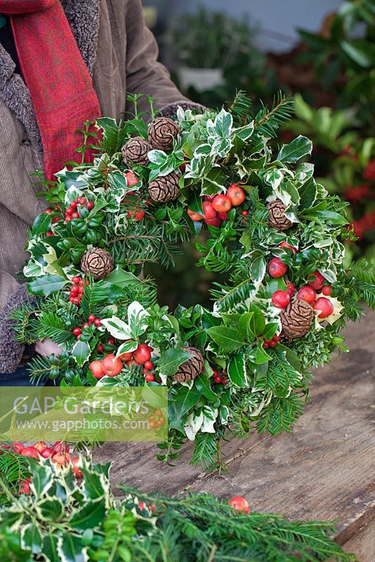 A completed Christmas wreath. Gabbi's Garden. December.