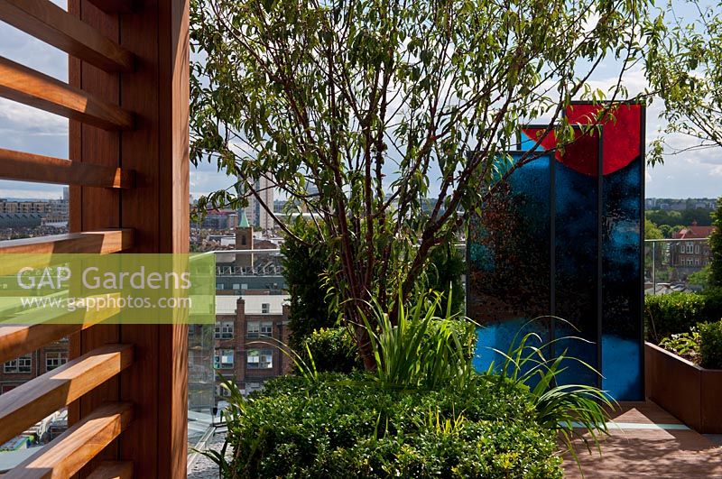 Contemporary roof garden, Chelsea Creek, London 