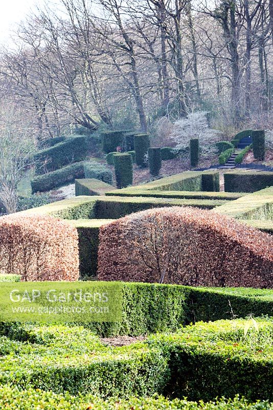 View across the Grasses Parterre to the Hedge Gardens and wood beyond. Foreground hedges of Buxus sempervirens. Main hedges and columns of Taxus baccata. Wave form hedge of Fagus sylvatica. Veddw House Garden, Monmouthshire, South Wales. March 2015. 