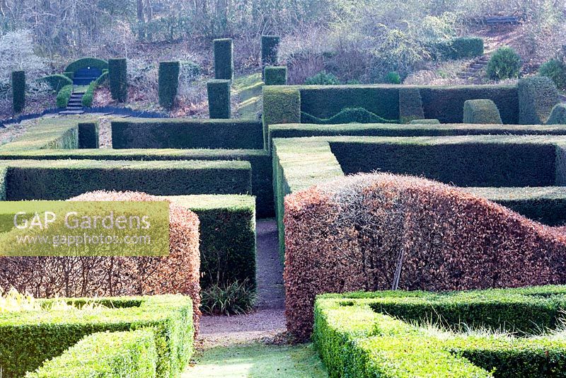 View across the Grasses Parterre to the Hedge Gardens and wood beyond. Foreground hedges of Buxus sempervirens. Main hedges and columns of Taxus baccata. Wave form hedge of Fagus sylvatica. Veddw House Garden, Monmouthshire, South Wales. March 2015. 