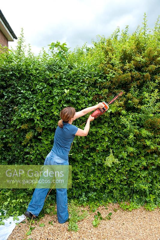 Woman using electrical hedge clippers