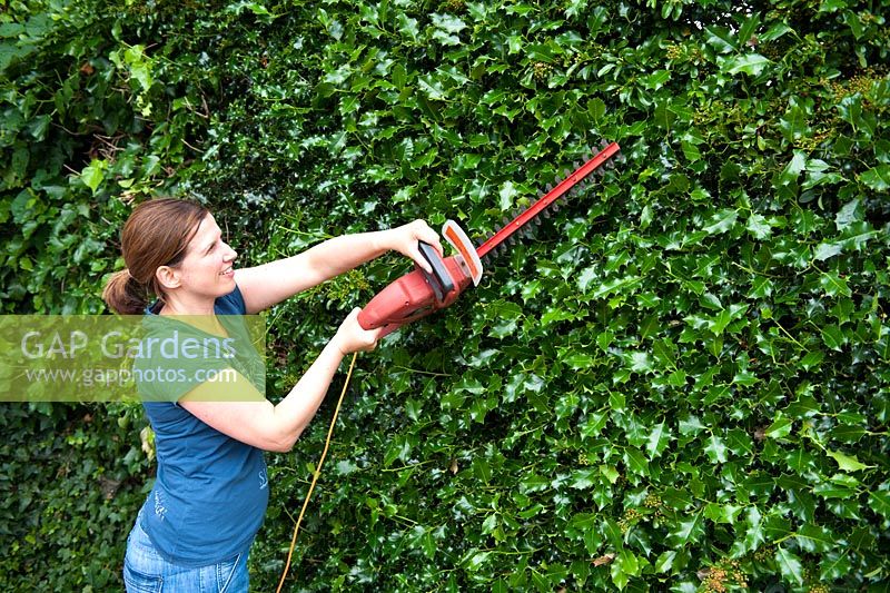 Woman using electrical hedge clippers
