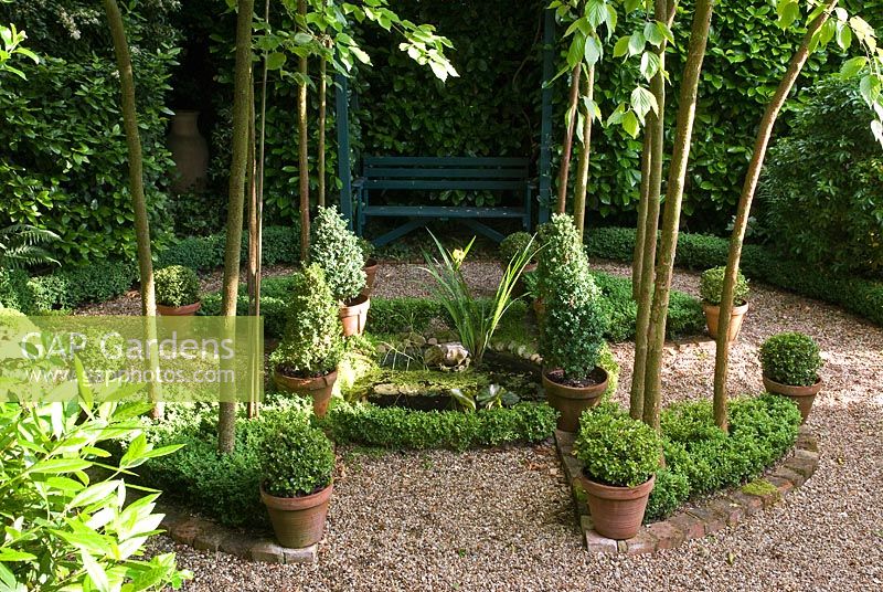 Birch grove encircles a small pond which is surrounded by Box hedging. The grove is enclosed by a laurel hedge.