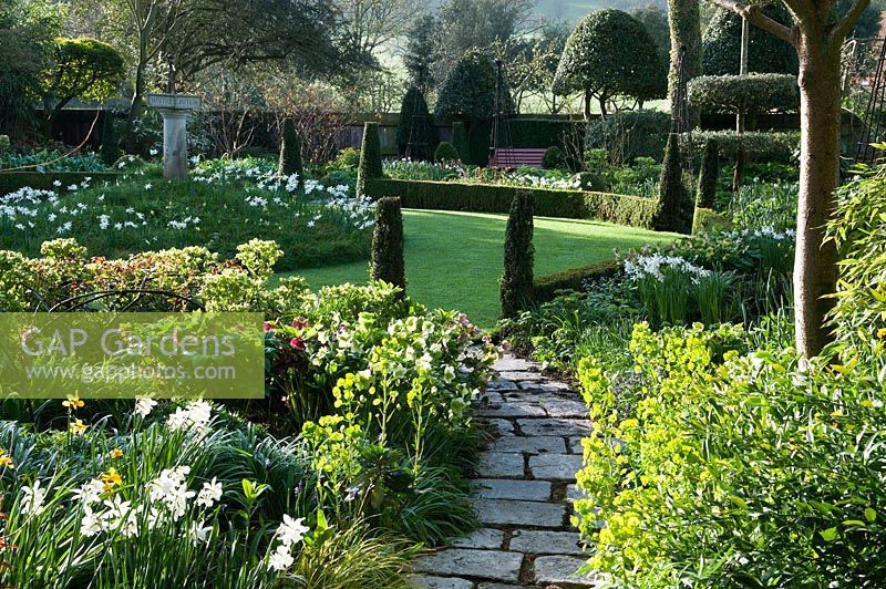 Jim and Sarah's garden. Plants include Narcissus Poeticus, Hellebores and Euphorbia
