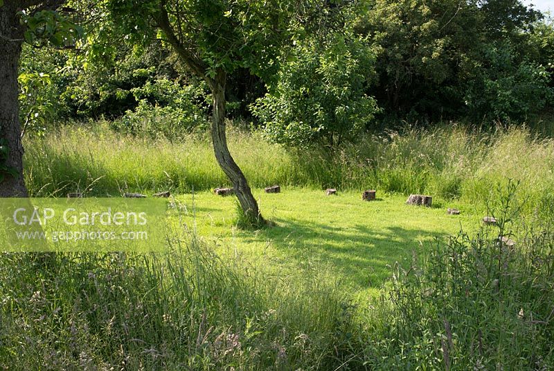 Mown 'crop circle' with logs for children to sit and walk on. Long grass surrounding fruit trees in the orchard in the evening light. Heveningham, June
