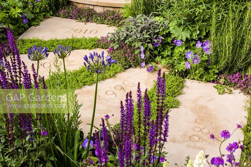 The Wellbeing of Women Garden - view showing stepping stones marking each decade of the charity's work with Thymus serpyllum between and mixed planting either side - RHS Hampton Court Flower Show 2015