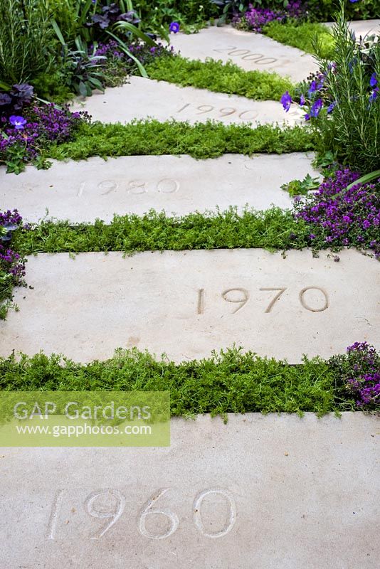 The Wellbeing of Women Garden - stepping stones marking each decade of the charity's work with Thymus serpyllum between - RHS Hampton Court Flower Show 2015