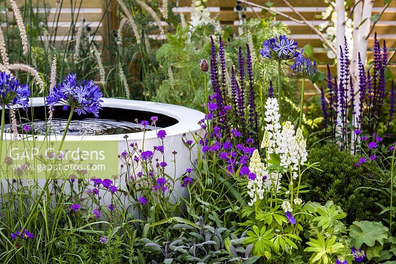Mixed planting in purples, blues and whites with circular water feature The Wellbeing of Women Garden, RHS Hampton Court Flower Show 2015