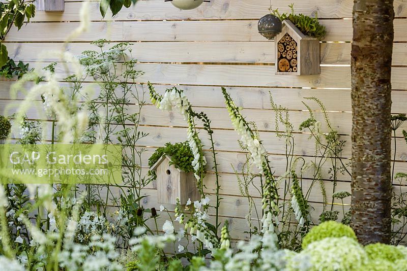 Mixed white planting, nesting box and insect house - Living Landscapes 'City Twitchers', RHS Hampton Court Flower Show 2015