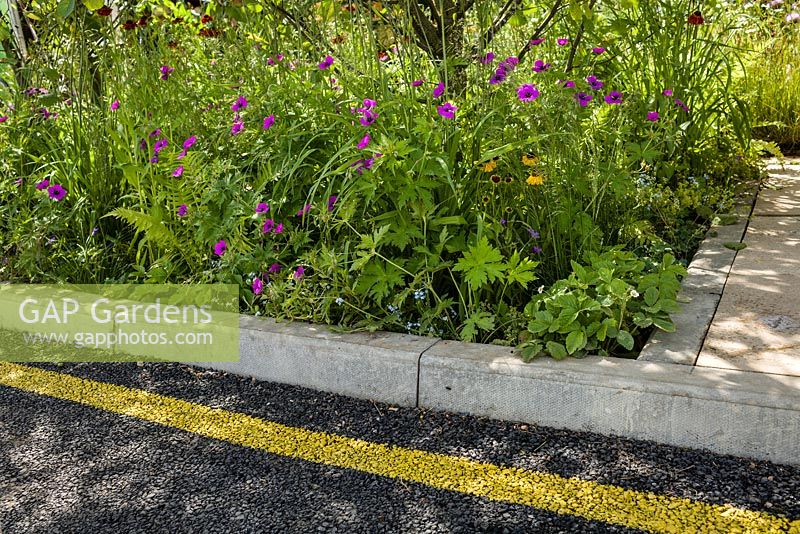 Kerbside planting including Geranium psilostemon - Community Street - RHS Hampton Court Flower Show 2015