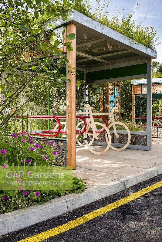 Kerbside planting including Geranium psilostemon and wildlife friendly bike shelter by Green Roof Shelters - Community Street - RHS Hampton Court Flower Show 2015