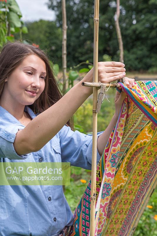 Secure the sheet of fabric to the garden canes using pegs