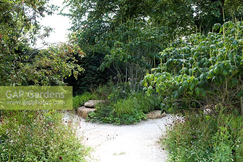 White stone gravel path leads towards bronzed mirror set in hornbeam hedge. Naturalistic shade-tolerant perennial planting with rocks and multi-stemmed tree. A Different Point of View Sponsor: Queen Elizabeth's Foundation for Disabled People  G