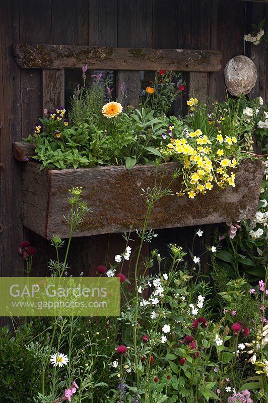 Colourful wooden window box