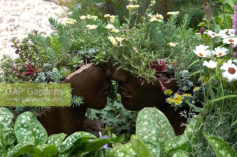 Kissing head plant containers