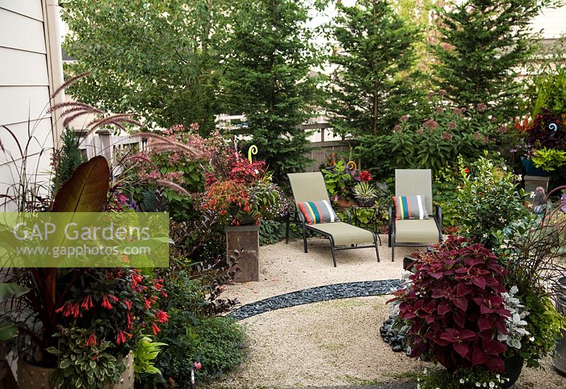 Courtyard garden wth recliners, containers with mixed planting including, Musa, Fuchsia 'Gartenmeister Bonstedt', Pennisetum, Begonia boliviensis, Coleus x hybridus