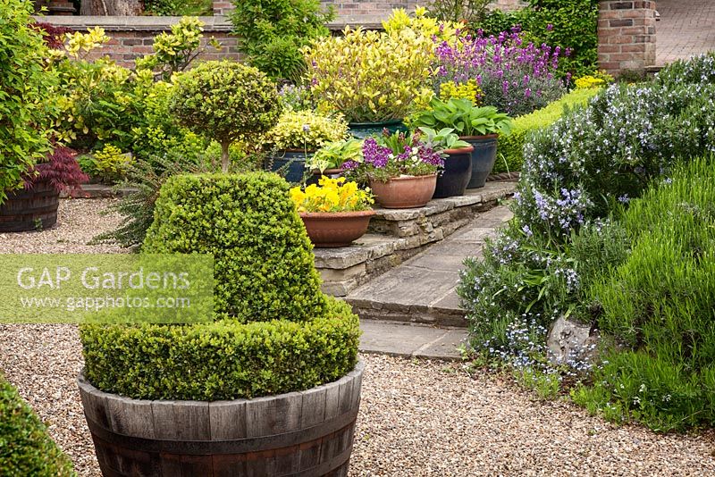 Topiary box in a pot as a focal point on a path