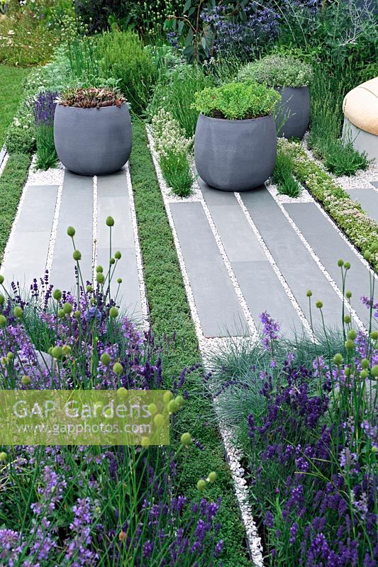 Grey stone pathway interplanted with lines of thyme. Pots of succulents and borders planted with lavender and ornamental grasses