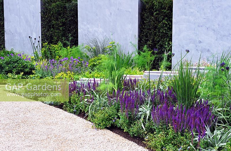 Blue, silver and yellow borders, with repeating yew columns along back wall - The Scotty's Little Soldiers garden, RHS Hampton Court Palace Flower Show 2015