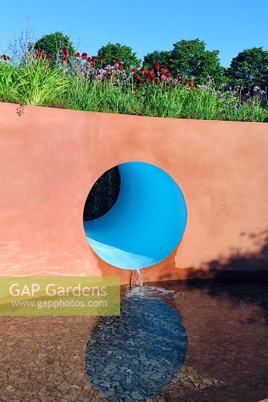 Echinaceas planted in high, rendered and painted raised beds. A water feature formed by a hole in the wall - The Circle Of Life garden, RHS Hampton Court Palace Flower Show 2015