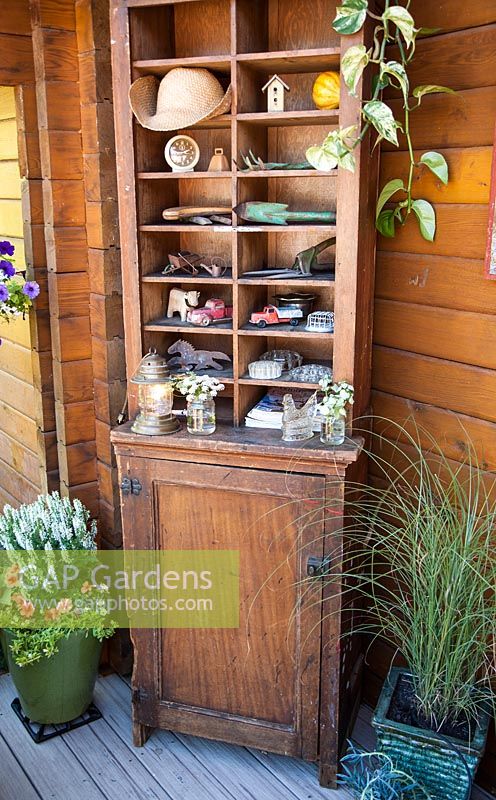 Wooden cabinet on veranda and containers planted with Epipremnum sp, Miscanthus sinensis 'Gracillimus' 