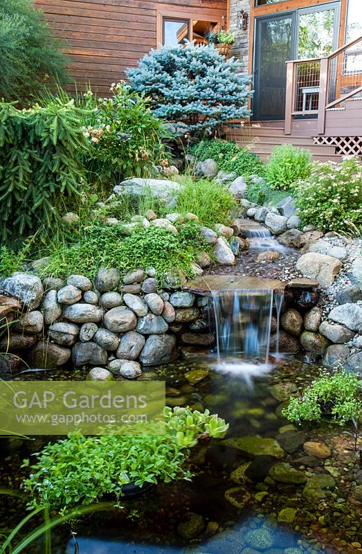 Waterfall and pond with planting of Vinca, Picea pungens 'Montgomery', Picea abies 'Nidiformis' 
