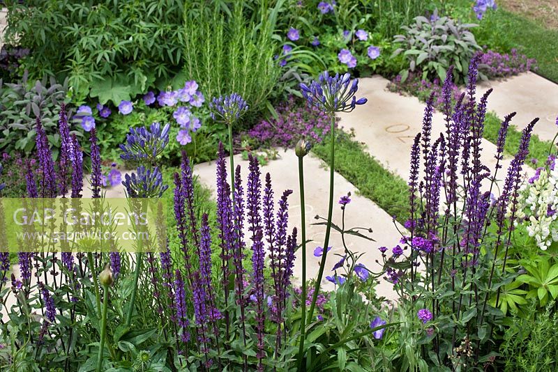 Purple feminine planting with stepping stones marking the decaces since the Charity's inception in The Wellbeing of Women Garden at RHS Hampton Court Palace Flower Show 2015