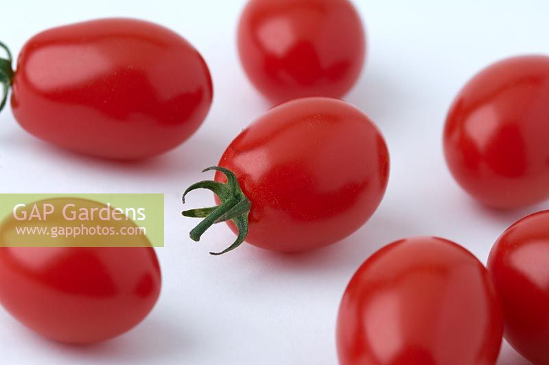 Solanum lycopersicum - Tomato 'Apero'