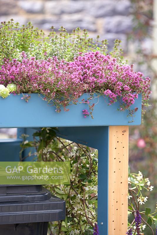 Roof top planting on wooden structure for wheelie bins. Community Street BBC Gardener's Question Time Front Gardens. RHS Hampton Court Flower Show 2015