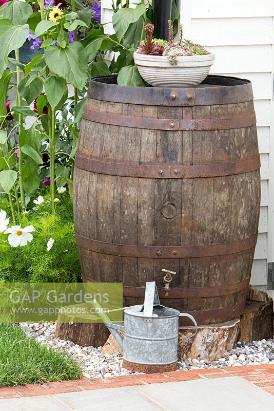 Just Retirement: A Garden For Every Retiree - painted wooden shed with wooden barrel used as a water butt, galvanised metal watering can, ceramic container with Sempervivum, border with sunflowers and cosmos - Designer Tracy Foster - Sponsor Just Retirement Ltd - RHS Hampton Court Flower Show 2015 - awarded Silver gilt