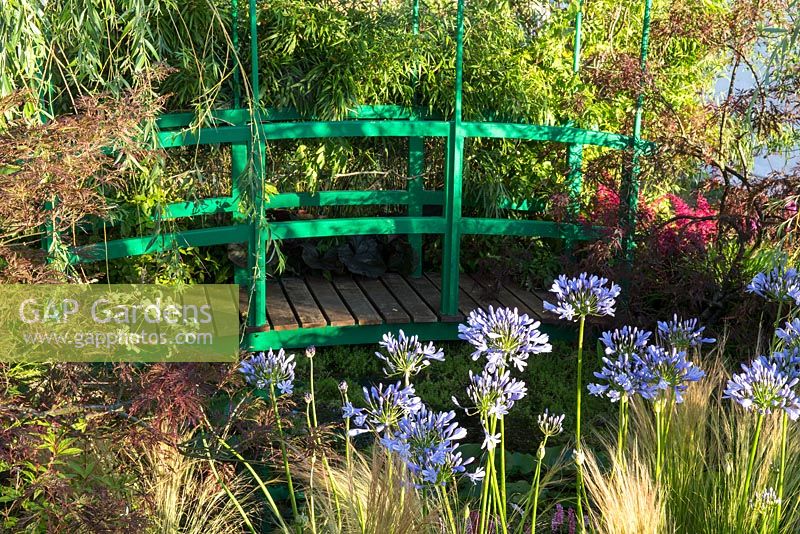 Normandy Impressionist Garden - Monet style garden with green painted wooden bridge, planting of Agapanthus, Acers and willow - Designer James Priest - Sponsor Normandy Tourist Board - RHS Hampton Court Flower Show 2015 - awarded Gold