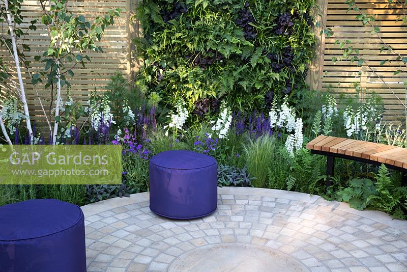 The Wellbeing of Women Garden - purple cushion seat on stone paved patio with wooden bench and fence, living wall planted with Heuchera 'Obsidian', Athyrium filix-femina, berbaceous border planting of Digitalis 'Camelot White', Salvia officinalis 'Purpurascens', Salvia nemorosa 'Caradonna', Pennisetum orientalis, Verbena rigida - Designed by Wendy von Buren, Claire Moreno, Amy Robertson - Sponsors Tattersall Landscapes, London Stone, Jacksons Fencing, Hedgeworx, Tactile Studios - RHS Hampton Court Flower Show 2015 - awarded Silver gilt