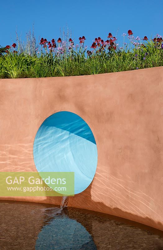 SABO: The Circle of Life Garden - painted rendered wall with water feature, water pouring in to pool lined with stones, planting of Echinacea purpurea 'Eccentric', Tulbaghia cominsii x violacea - Designer Stefano Passerotti - Sponsor Sabo Oil - RHS Hampton Court Flower Show 2015 - awarded Silver Gilt